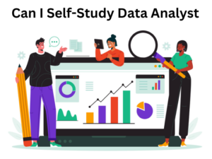 Read more about the article Can I Self Study Data Analyst